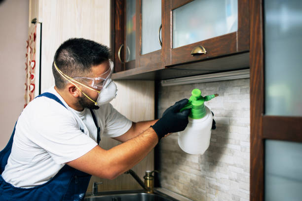 Pest Prevention Services in Legend Lake, WI