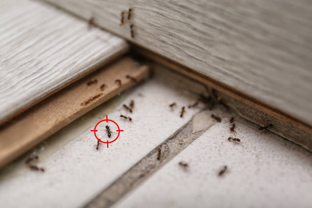 Best Commercial Pest Control Services  in Legend Lake, WI