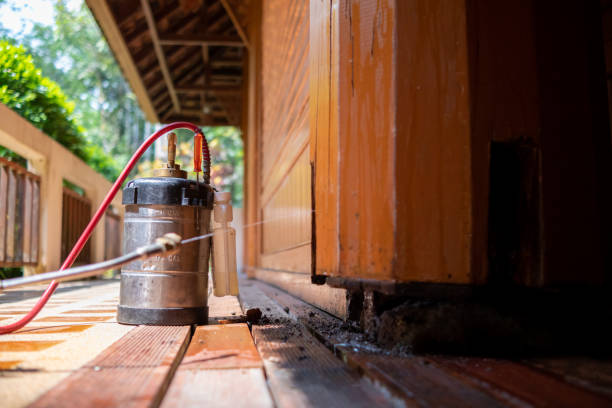 Best Best Pest Control Companies  in Legend Lake, WI