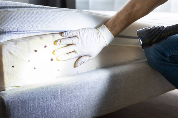 Best Pest Removal Services  in Legend Lake, WI