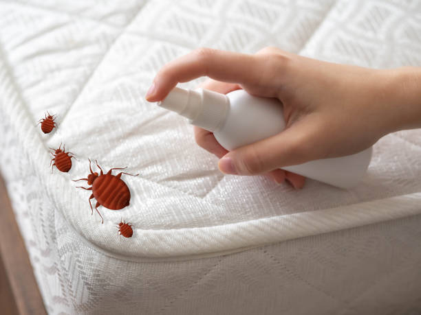 Best Wasp Removal Services  in Legend Lake, WI