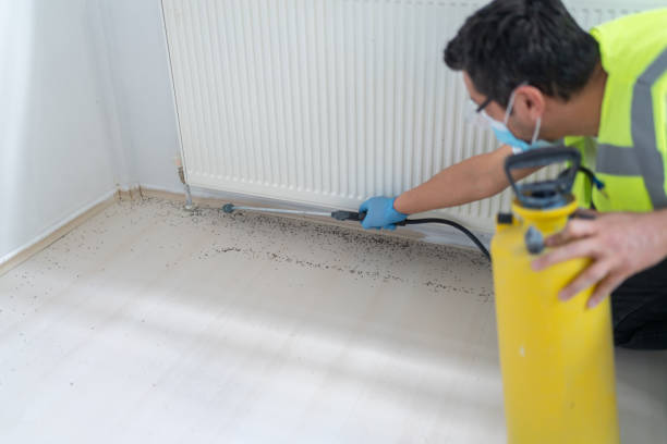 Professional Pest Control in Legend Lake, WI