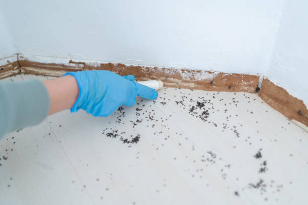 Best Mosquito Control Services  in Legend Lake, WI